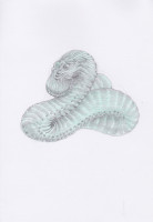http://www.arturmoser.de/files/gimgs/th-32_Scan 35.jpg